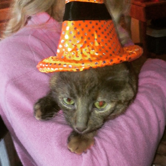 Meet your Posher, Sunshine - Picture 1 of 1